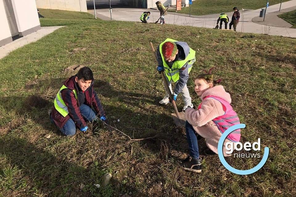 Featured image for “Leerlingen Klimaatschool helpen stad Bree bij bomenplantactie”